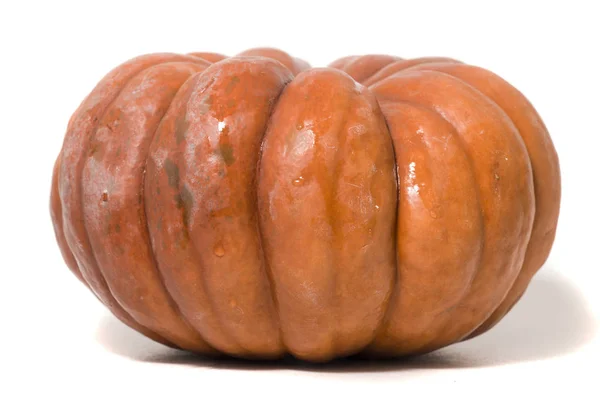 Big orange pumpkin — Stock Photo, Image
