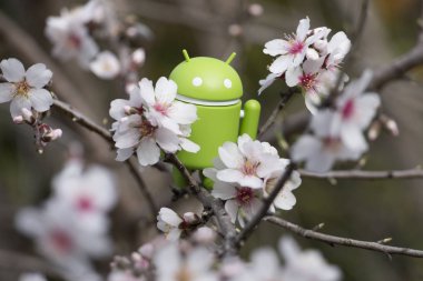 Estoi, Portekiz - 4 Şubat 2018 - kırsal üzerinde badem ağacının dalını üstünde Android heykelcik Portekiz Algarve bölgesinde bulunan..