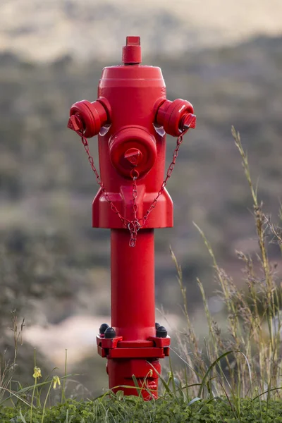 Vista Cercana Una Boca Incendios Roja Campo —  Fotos de Stock