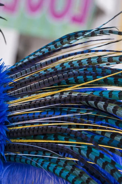 Close Penas Coloridas Terno Carnaval — Fotografia de Stock