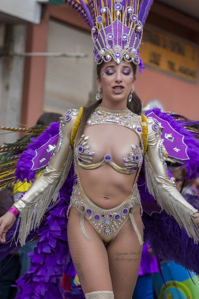 Loule Portogallo Febbraio 2018 Partecipanti Variopinti Festival Carnevale Nella Città — Foto Stock