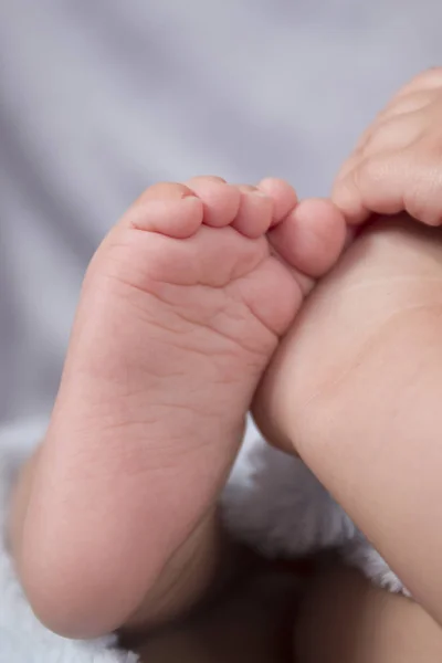 Close up of cute and tiny baby foot.