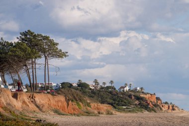 Güzel kumsallara ve çam ağaçları Quarteira, Algarve, Portekiz