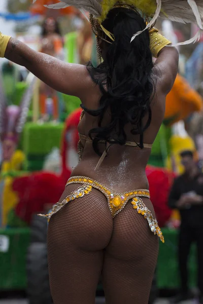 Színes Felvonulás Karnevál Carnaval Fesztivál Famel Résztvevő Tánc — Stock Fotó