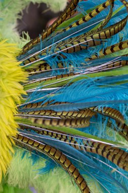 Bir karnaval takım elbise renkli tüyleri yakın çekim.