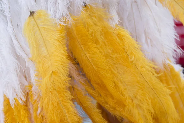 Close Colorful Feathers Carnival Suit — Stock Photo, Image