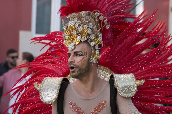 Loule Portogallo Feb 2018 Carnevale Colorato Carnevale Partecipanti Festival Parade — Foto Stock