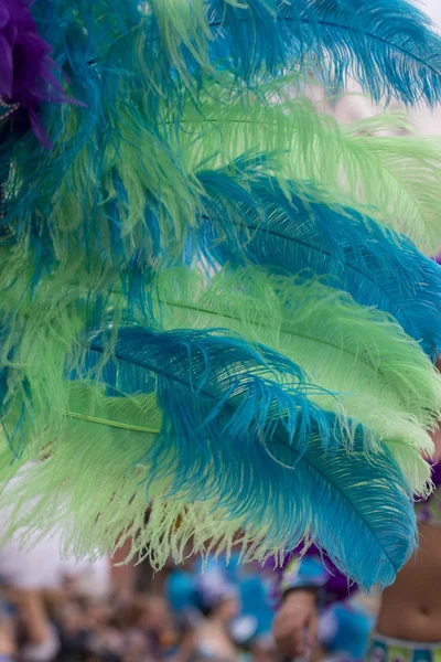 Loule Portugal Feb 2018 Close Colorful Feathers Carnival Suit — Stock Photo, Image