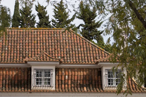 View Typical Portuguese Red Tile Roof — Stock Photo, Image