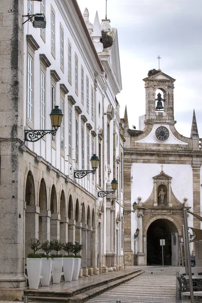 Historyczne Centrum Miasta Ogrodzie Manuel Bivar Faro Portugalia — Zdjęcie stockowe