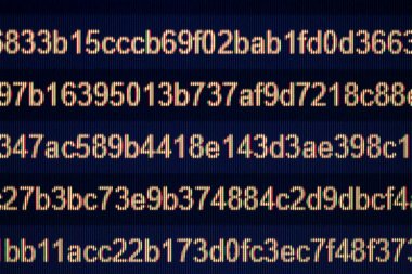 Harf ve sayı oluşan rasgele bilgisayar kodu Close-Up.