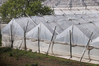 Mavi gökyüzü karşı kırsal seralar satırı görüntüleme.
