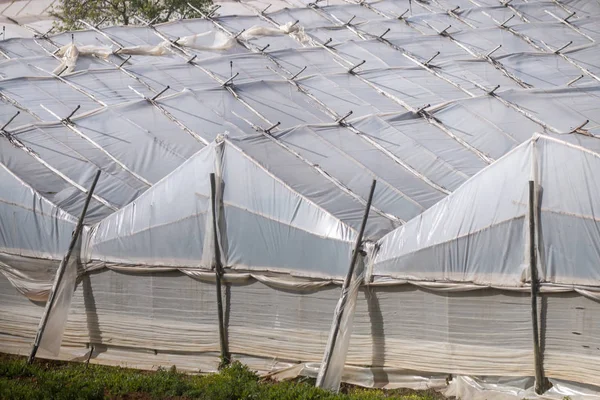 Mavi gökyüzü karşı kırsal seralar satırı görüntüleme.