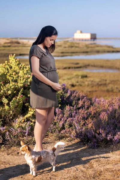 Zwangere vrouw poseert op de moerassen. — Stockfoto