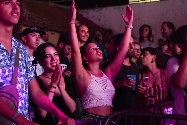 Audience guarda l'artista musicale al Festival — Foto Stock