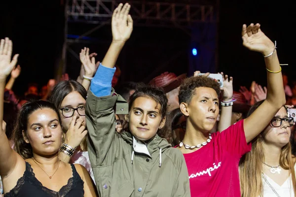 Diváci sledují hudebního umělce na festivalu — Stock fotografie