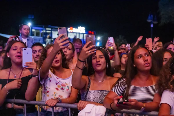 Publikum sieht Musikkünstler auf Festival — Stockfoto