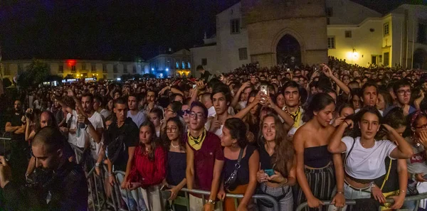 Audiencia ver artista de música en Festival — Foto de Stock