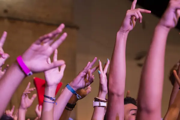 Hände hoch beim Konzertfestival — Stockfoto