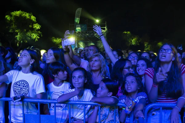 Publiczność oglądać muzyka artysty na Festiwalu — Zdjęcie stockowe