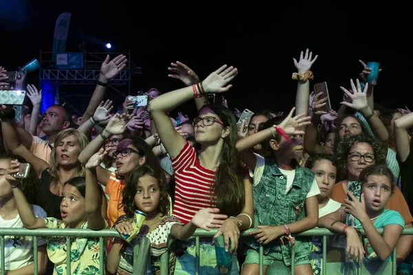 Publiczność oglądać muzyka artysty na Festiwalu — Zdjęcie stockowe