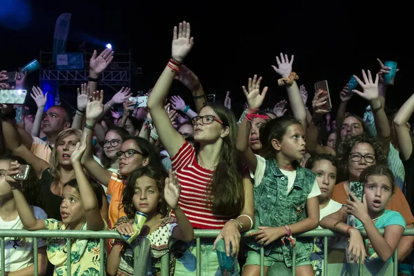 Diváci sledují hudebního umělce na festivalu — Stock fotografie