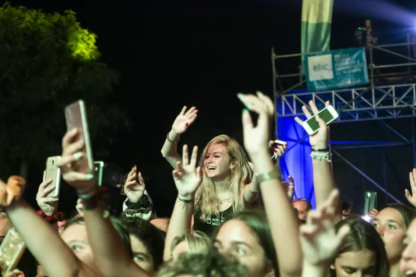 Publikum sieht Musikkünstler auf Festival — Stockfoto