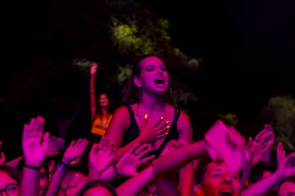 Diváci sledují hudebního umělce na festivalu — Stock fotografie