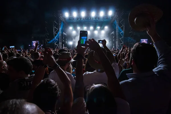 Publikum sieht Musikkünstler auf Festival — Stockfoto