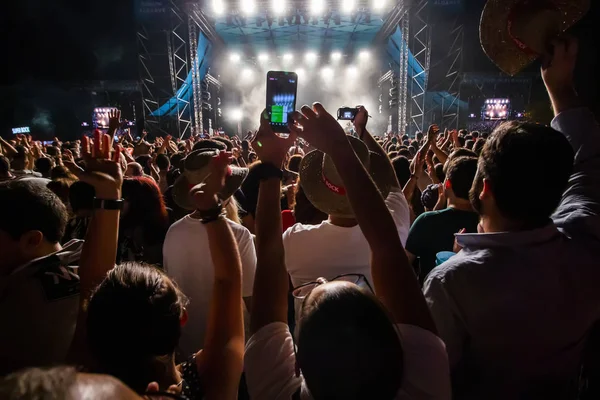 Publikum sieht Musikkünstler auf Festival — Stockfoto