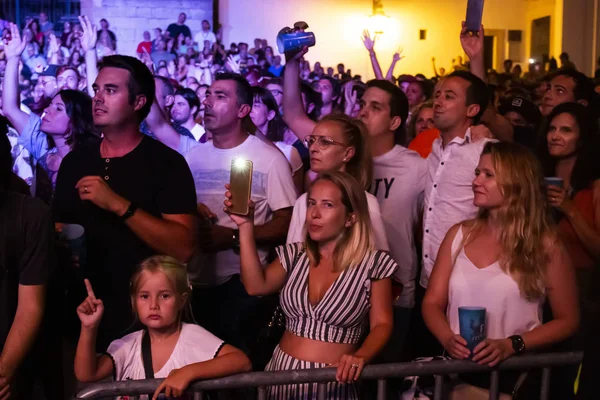 Audiencia ver artista de música en Festival — Foto de Stock