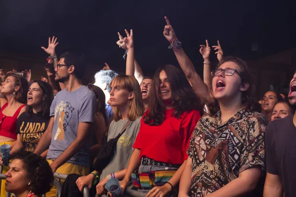 Diváci sledují hudebního umělce na festivalu — Stock fotografie