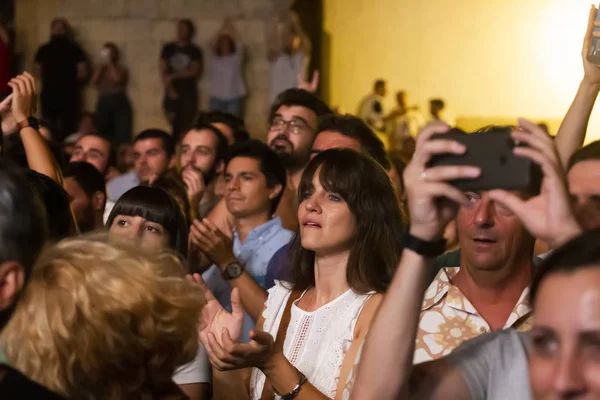 Audiencia ver artista de música en Festival — Foto de Stock