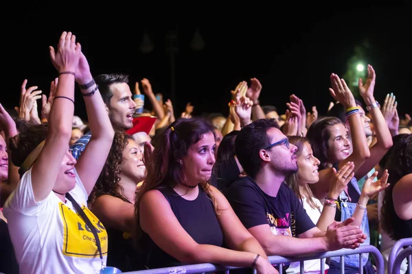 Publiczność oglądać muzyka artysty na Festiwalu — Zdjęcie stockowe
