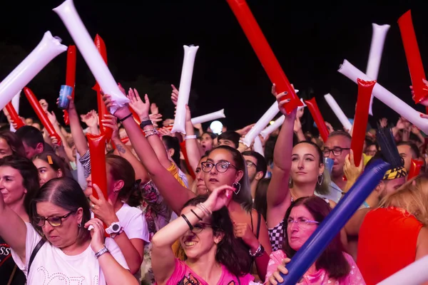 Audience guarda l'artista musicale al Festival — Foto Stock