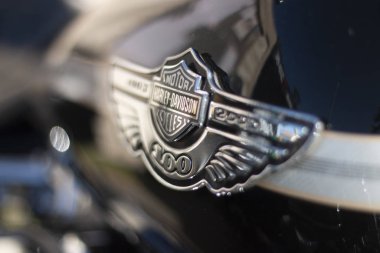 Gösteride antika arabaların görüntüsü