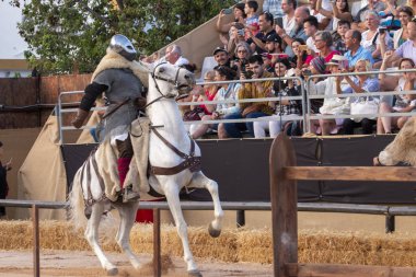 Festivalde ortaçağ sanatçıları