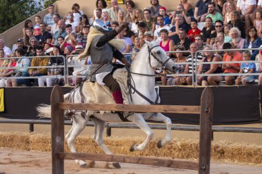 Festivalde ortaçağ sanatçıları