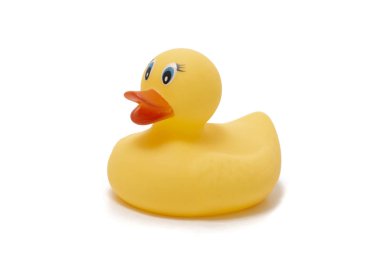 Şirin, sarı ördek