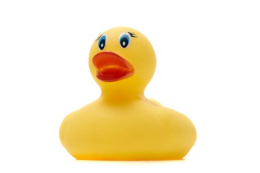 Şirin, sarı ördek