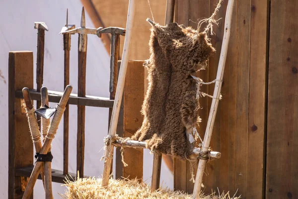 Animal hide hanging up to dry — Stock Photo, Image