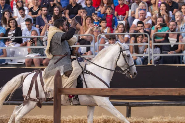 Interpreti medievali al festival — Foto Stock