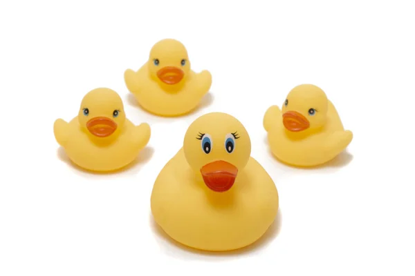 Cute plastic yellow ducks — Stock Photo, Image