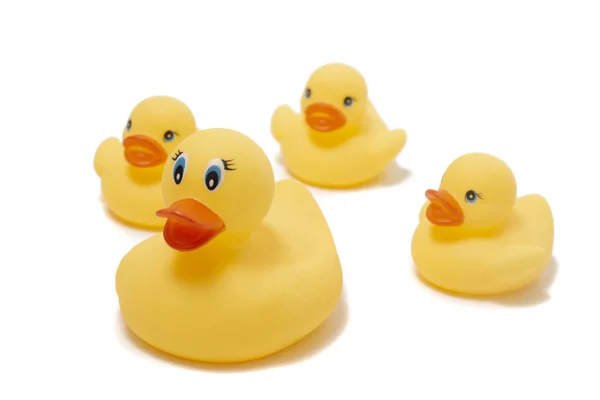 Cute plastic yellow ducks — Stock Photo, Image