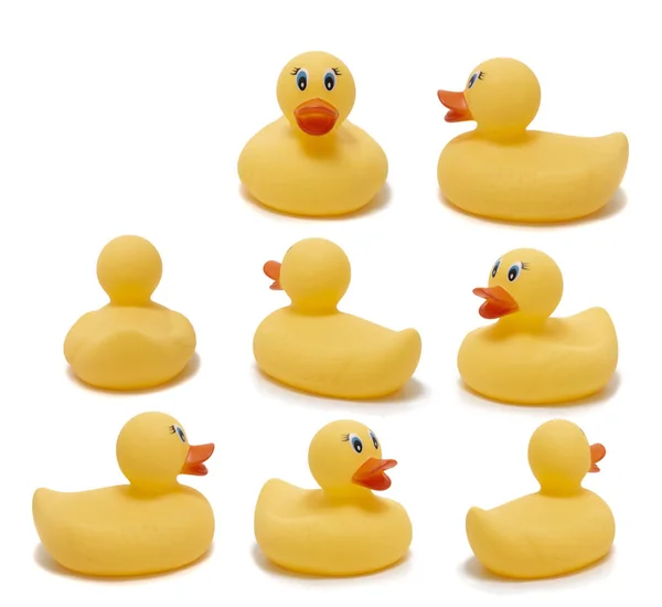 Patos amarelos de plástico bonito — Fotografia de Stock