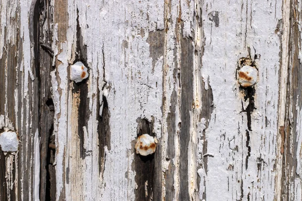 Vieille texture de porte en bois — Photo