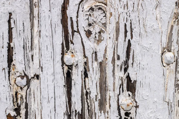 Textura velha porta de madeira — Fotografia de Stock