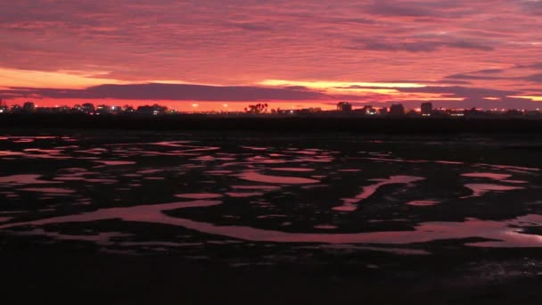 Natural marshlands at sunset — Stockvideo