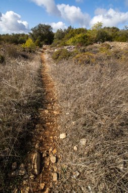 Sao Bras de Alportel 'in manzarası