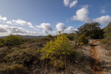 Sao Bras de Alportel 'in manzarası